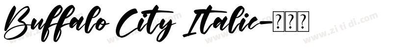 Buffalo City Italic字体转换